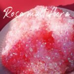 Damask Maiden Snap-Resonance Slime - 图片 4