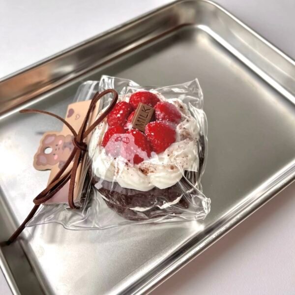 Chocolate Raspberry Tart Cake Squishy
